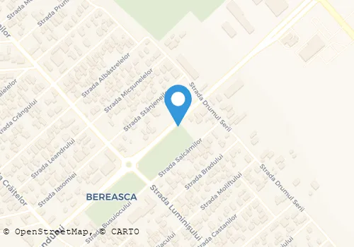 Hartă