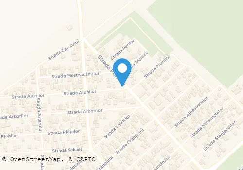 Hartă