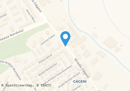 Hartă