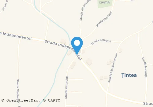 Hartă