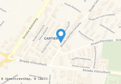Hartă