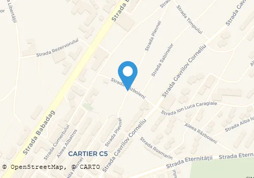 Hartă