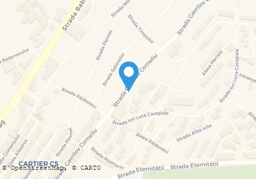 Hartă