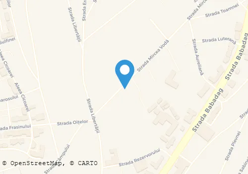 Hartă