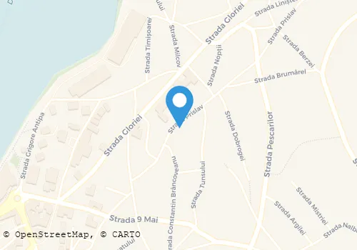 Hartă