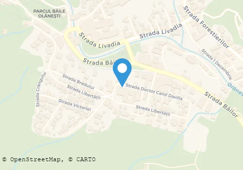 Hartă