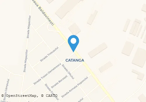 Hartă