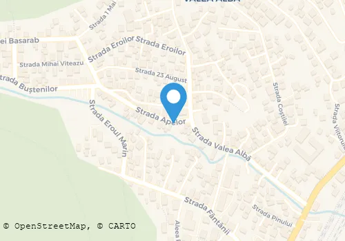 Hartă