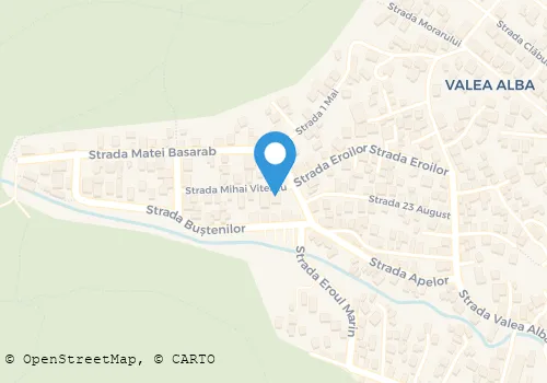 Hartă