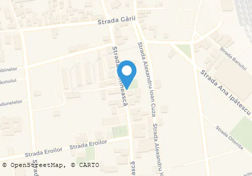 Hartă