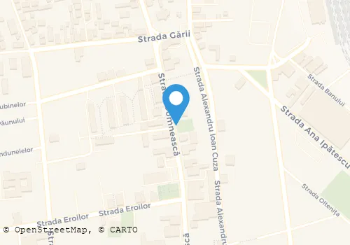 Hartă