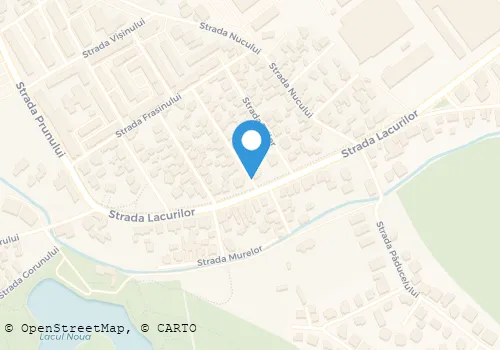 Hartă