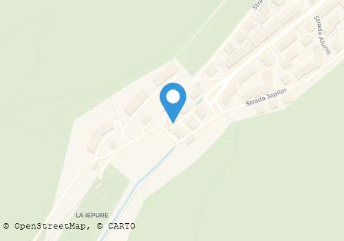 Hartă