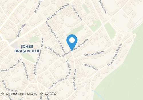 Hartă