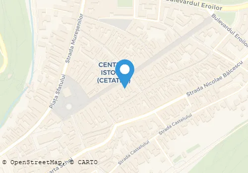 Hartă