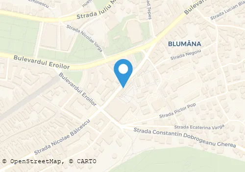 Hartă