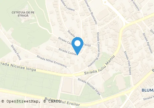 Hartă