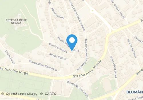 Hartă