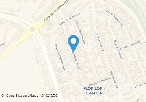 Hartă