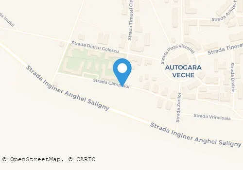 Hartă