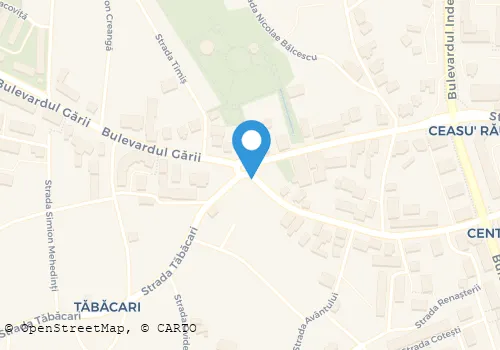 Hartă