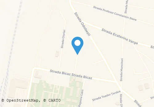 Hartă