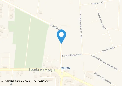 Hartă