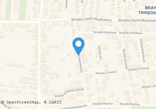 Hartă