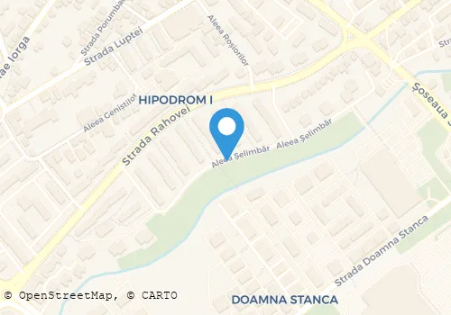 Hartă
