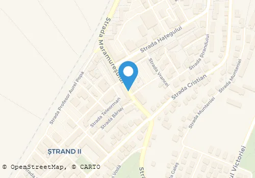 Hartă