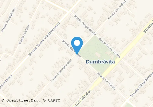Hartă