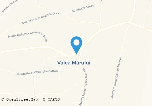 Hartă