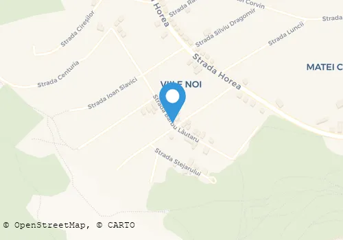 Hartă