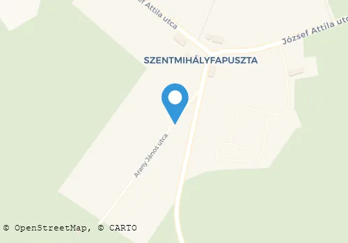 Térkép