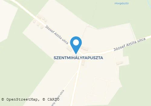 Térkép