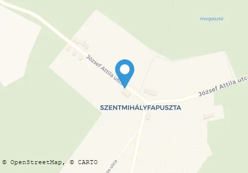 Térkép
