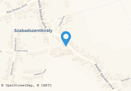 Térkép