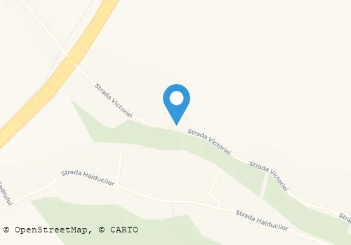 Hartă