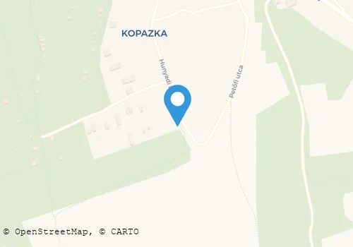 Térkép