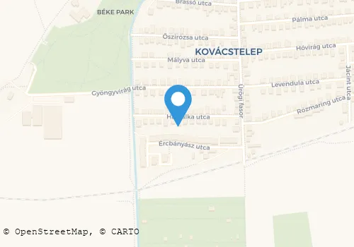 Térkép