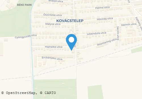 Térkép