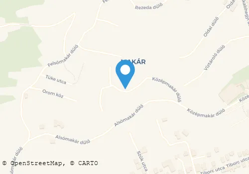Térkép