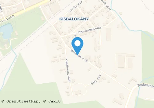 Térkép