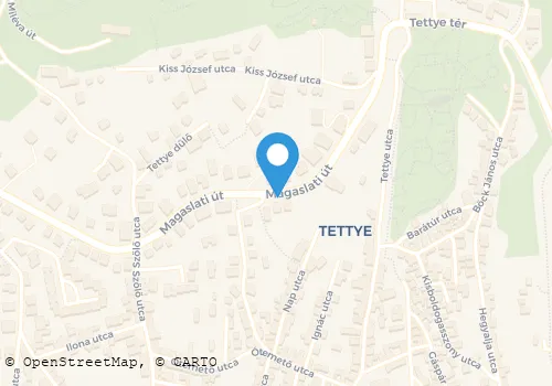 Térkép