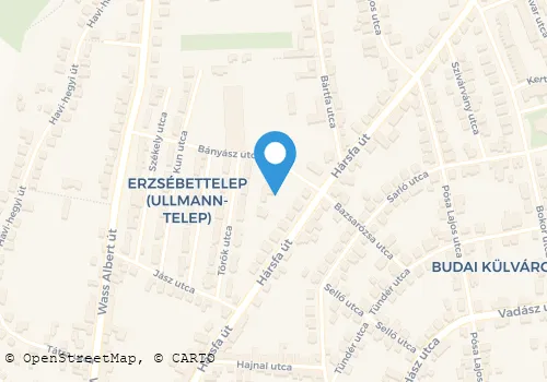 Térkép