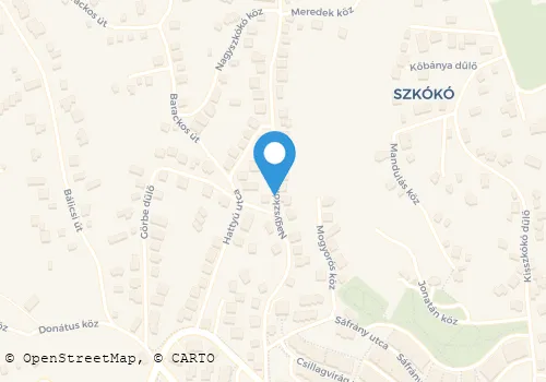 Térkép