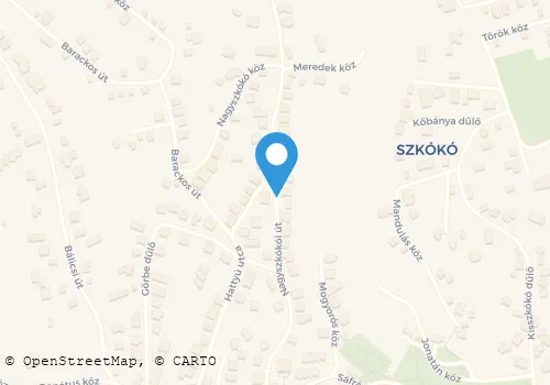 Térkép