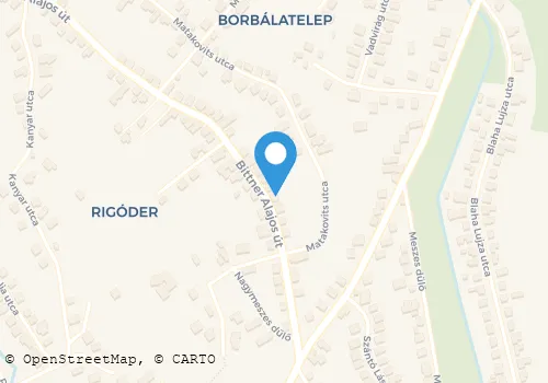 Térkép