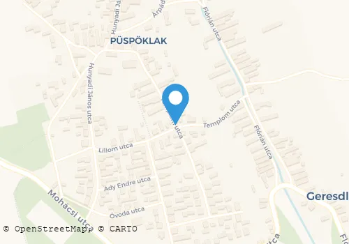 Térkép