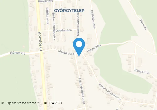 Térkép